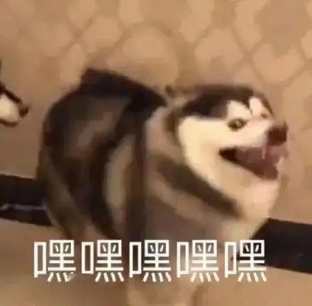广科人的真香时刻,你肯定也有