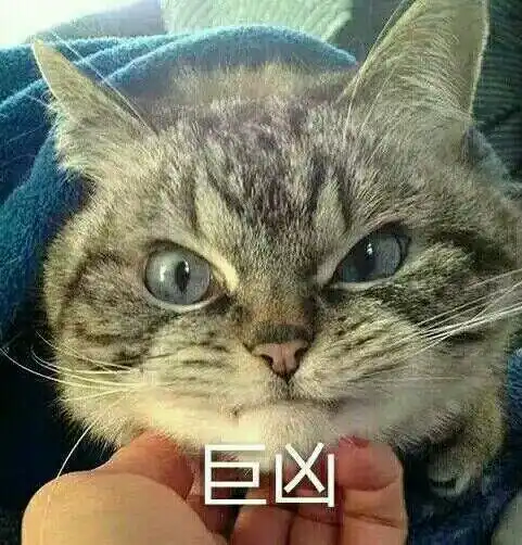 170表情包搞笑创意手机唯美内涵动漫重口味来一波表情包不定期更新
