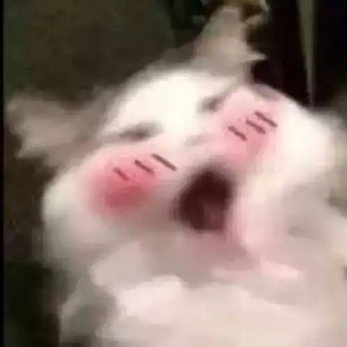 求那种表达很开心的表情包
