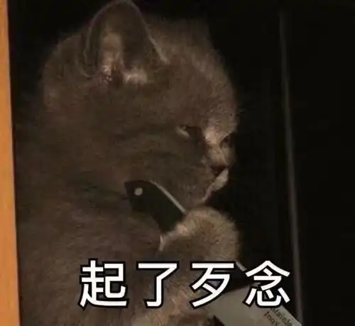 猛虎落地式下跪表情包气