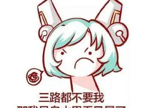 王者荣耀买皮肤表情包蔡