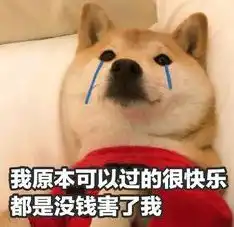刺激悬崖秋千高空玻璃桥越野卡丁车随州人中秋都来这儿