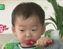 小爱萌萌哒gif表情包宋