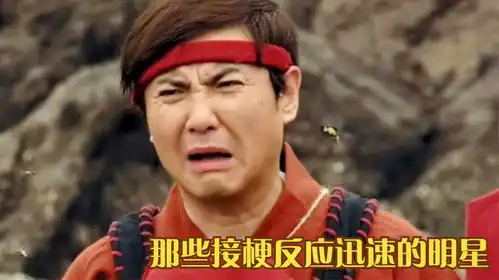 那些接梗反应迅速的明星白敬亭这包袱张口就来,每一句都在夺笋
