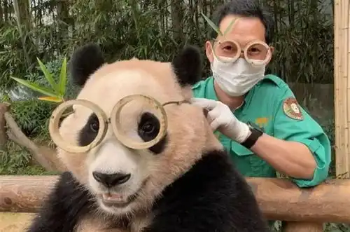 这位顶流明星即将回到中国,韩国粉丝泪目了