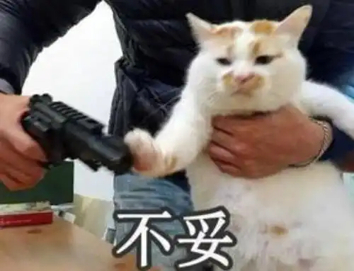 睡魔作者乱搞男女关系,不但睡女粉丝,就连孩子保姆都不放过