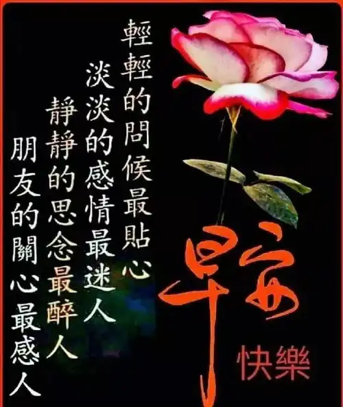 最美早上好动态图片表情带字和鲜花,早安问候语配动态图片