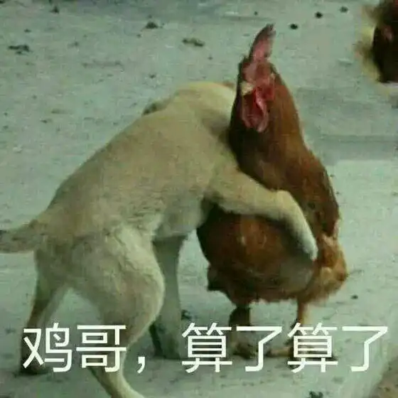 鸡哔你原版表情包