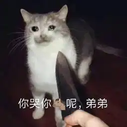 斗图表情包合集斗图没有这些表情包,还斗个锤子