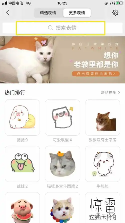 当场抓获五星街这两只网红小可爱在线撩人狂送豪礼让你快乐加倍