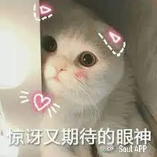 关心女朋友的表情包哥们