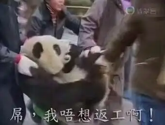 微信表情包戴医药口罩可