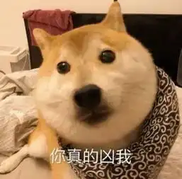 千万不要让铲屎官玩沙雕特效吓死汪了哈哈哈哈