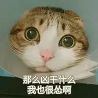 无所谓的图片表情包