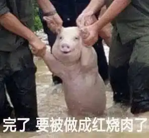 新晋表情包网红猪,最近微信朋友圈微博都被这只猪刷屏了....