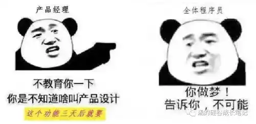 硅谷华人码农成语大全有故事有温度的语言生活