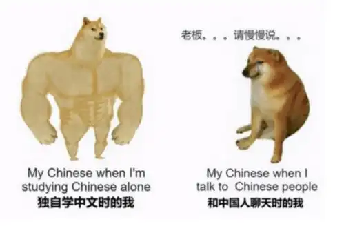 中文太难了,让美国人痛苦不堪的中文试卷,看完笑翻网友