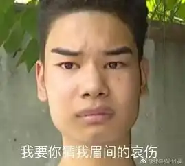 赵丽颖迪丽热巴娜扎亲证画对眉毛微整