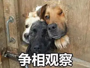 囧囧囧泰国一小哥分手后,将胸口女友头像纹身改成狗......恋爱有风险,纹身需谨慎啊