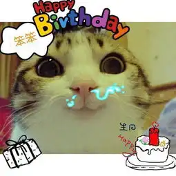 祝你生日快乐的有趣表情包,去送给你最喜欢和爱的人吧