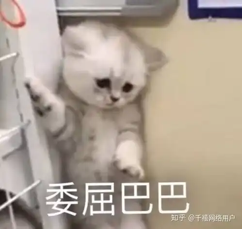 你相信玩具有生命吗
