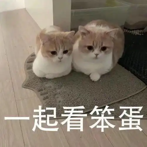 文案被人秒赞的朋友圈文案