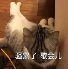 19块9的定妆粉居然秒杀了600块的,它凭什么
