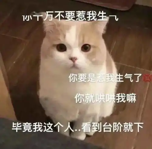 套路你家男朋友的可爱猫猫表情包集锦
