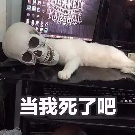 网友买了个骷髅摆件,然后被自家猫咪给......