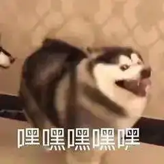 令人无语的面试经历增加了,找个工作是真不容易啊