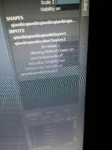 玛雅里人物表情做完,拉到场景里变成了这样就没办法k表情关键帧了
