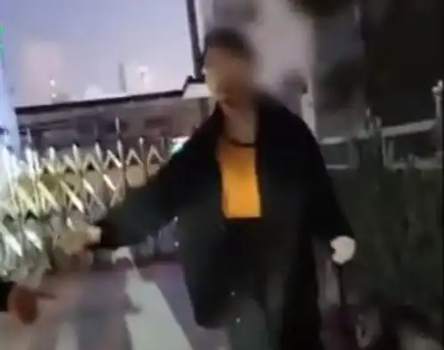 敬畏生命用开水烫怀孕母猫男子被开除