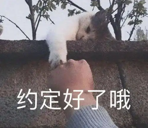 搞笑gif帮同学买的,他穿着很丑,我很满意