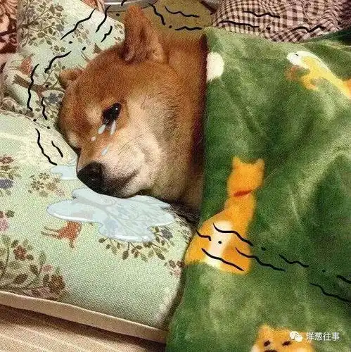 电动车载5名美女兜风东莞最成功的男人栽了