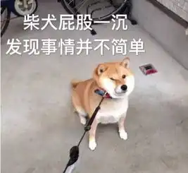 柴犬发现事情并不简单表情包