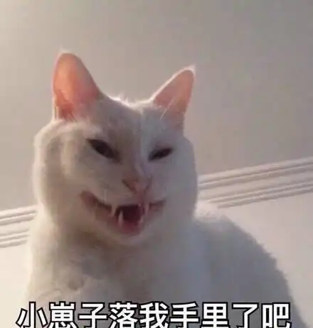 幽默笑话姐姐胖,被公司派外省出差几个月,换了个发型挡住圆脸