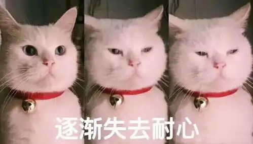 气的睡不着