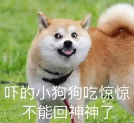 头顶小红花的表情包狗血