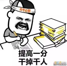 解放了图片表情包新高考