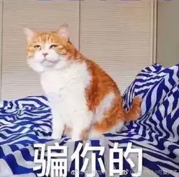 愚人节,娱人不愚人