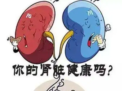 肾脏不好的人,对不住自己肾的4个习惯,多吃6物,肾更好朋友