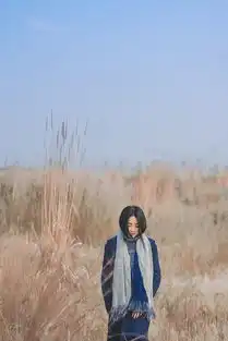 天上有灰机