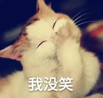 憋笑的表情包一只猫