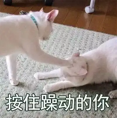 厉害图片表情包强降雨