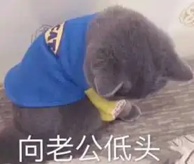 奈斯傲娇萌娃表情包看到臭流氓后就想投降