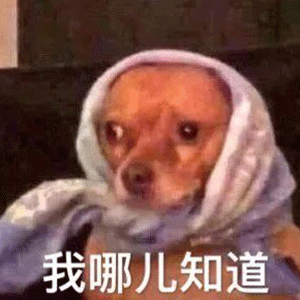 表情包系列,我准备要去喝西北风了,不进来看看