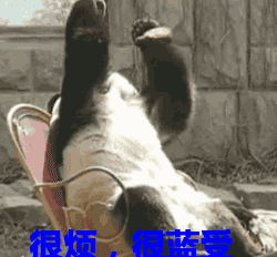 已经过完2017所有法定假日表情包2017所有法定假日已清空搞笑表情图片高清图集极光下载站