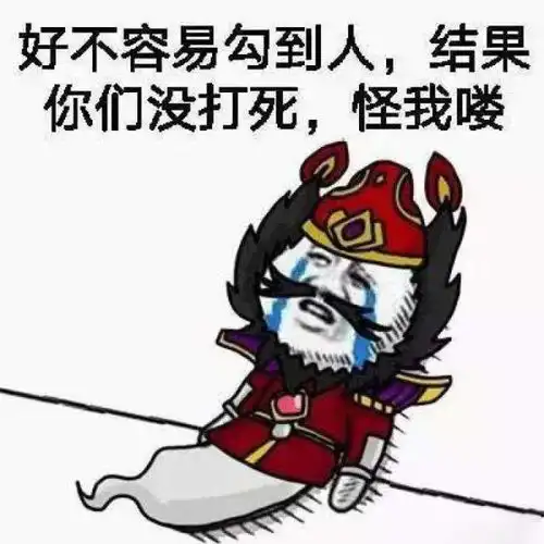王者荣耀买皮肤表情包英