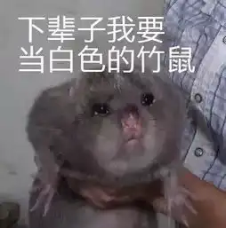带你进乡村丨第二期竹鼠的一百种死因