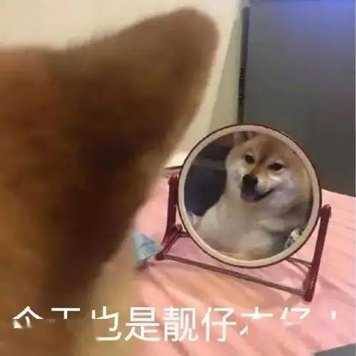 美女拍照原图流出好家伙,这也太心机了